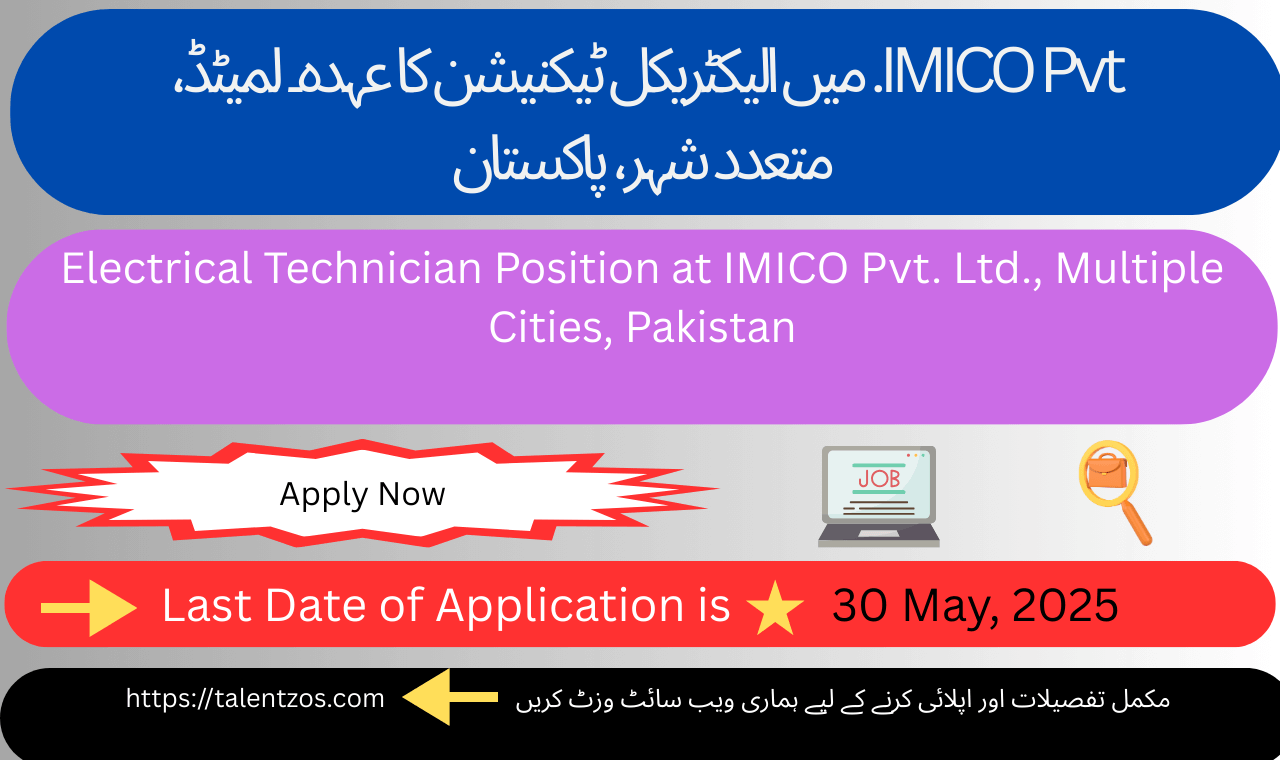 Professional Electrical Technician Handling Industrial Equipment at IMICO Pvt. Ltd.