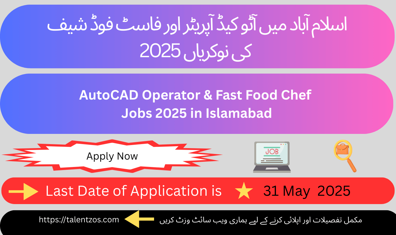 AutoCAD Operator working on a technical drawing in Islamabad office