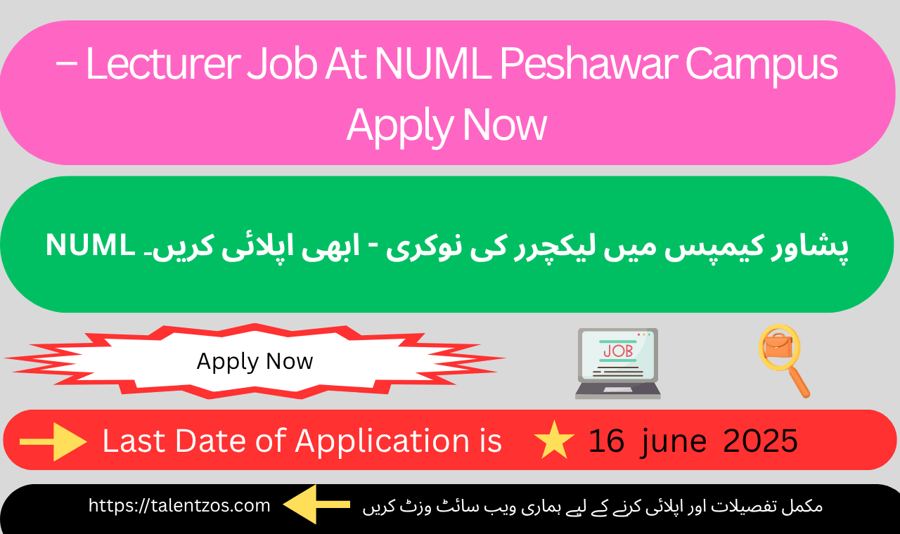 Lecturer Job At NUML Peshawar Campus 2025 – Government teaching career opportunity in KPK