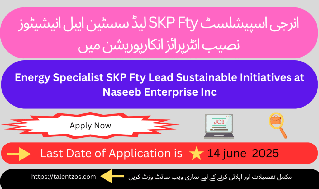 Energy Specialist SKP Fty monitoring energy systems at Naseeb Enterprise Inc. Pakistan